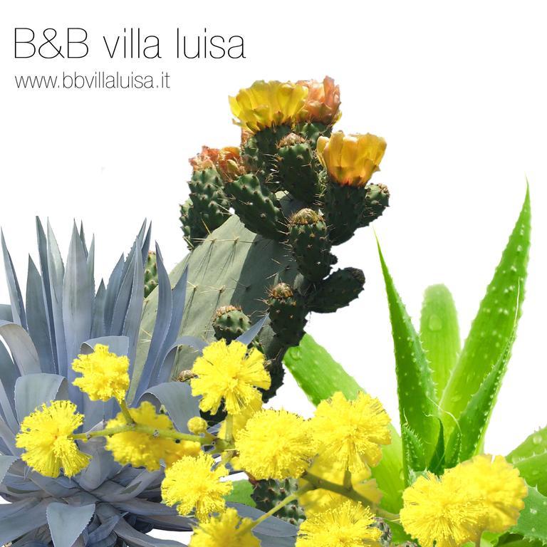 B&B Villa Luisa Casarza Ligure Exterior photo